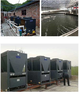 R744 CO2 এয়ার সোর্স হিট পাম্প ওয়াটার হিটার আবাসিক 90 ডিগ্রি ডরিন কম্প্রেসার সহ
